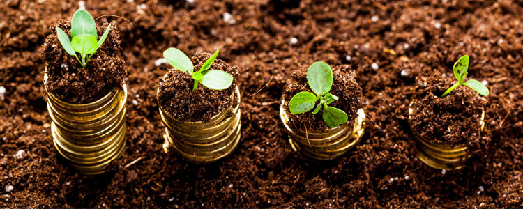 Advancing the gospel, charitable work,  missions, and create businesses.